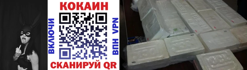 Cocaine FishScale  МЕГА   Жиздра 