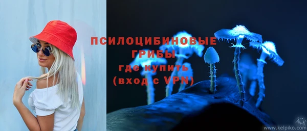 марки nbome Ладушкин
