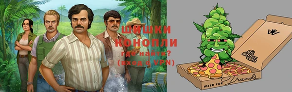 кристаллы Гусев