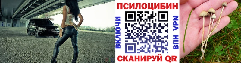Галлюциногенные грибы ЛСД  МЕГА ССЫЛКА  Жиздра 